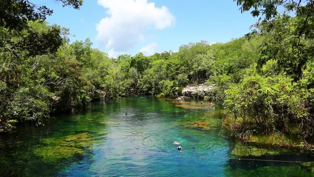 estanque natural con aguas cristalinas en medio de la selva.