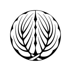 柏紋・ 石持ち地抜き抱き柏（こくもちじぬきだきかしわ）