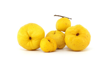 Golden-yellow quince fruits isolated on white background