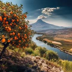 Fototapeten  Orange trees on the mountain, river in the distance, daytime landscape © Bettina