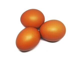 eggs