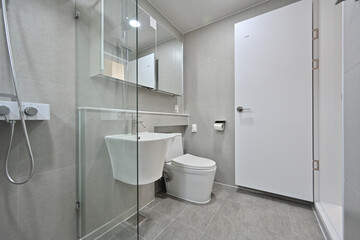 Modern design bathroom with interior in gray tones