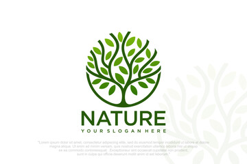 Abstract Tree of life logo . Botanical plant nature symbols . Vector illustration .