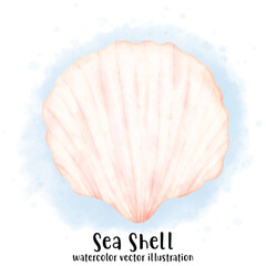 Sea Shell, Pearl Shell, Shell, watercolor vector, illustration