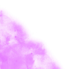 Purple Corner Stardust Cosmos