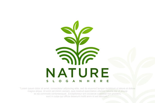 tree logo. Natural product plant growth icon . Eco nature garden emblem. Vector illustration.