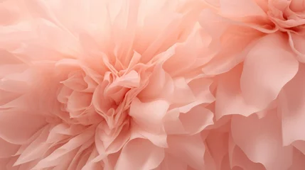 Foto auf Leinwand white, pink and peach dahlias, peach flowers against a beautiful lit background © banthita166