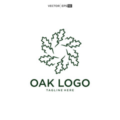 Fototapeta na wymiar Oak vector logo design Inspirations