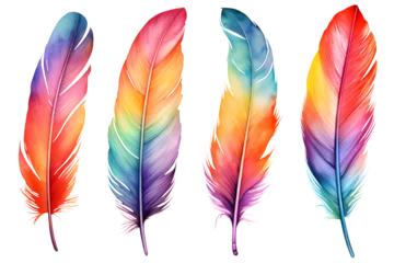 Foto op Canvas colourful rainbow watercolour feathers set isolated on transparent background - Design element PNG cutout collection © sam