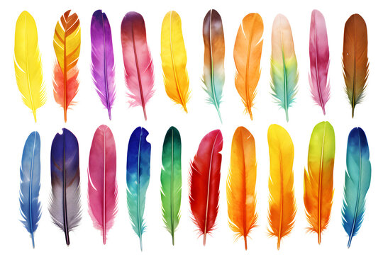 Colourful Rainbow Watercolour Feathers Set Isolated On Transparent Background - Design Element PNG Cutout Collection