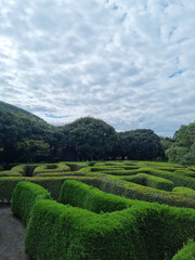 This is a maze garden landscape created by trimming trees.