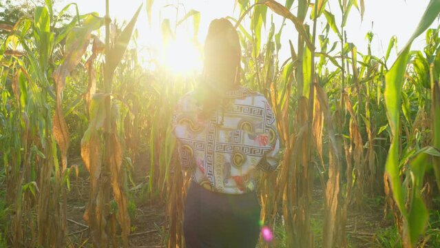 African woman farmer engineer in traditional clothing using a digital modern tablet monitoring checking the crop in wheat grain plantation in Africa, precision farming agritech agritech concept 