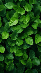 Green leaves graphic decoration - obrazy, fototapety, plakaty