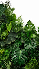 Green leaves nature frame layout of tropical plants design illustration