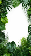 Green leaves nature frame layout of tropical plants print