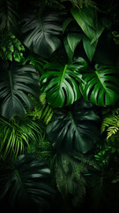 Fototapeta na wymiar Green tropical leaves of Monstera fern and palm graphic wallpaper