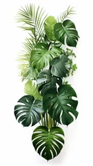 Poster Monstera Horizontal artwork composition of trendy tropical decoration