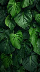 the Fresh tropical Green leaves decor