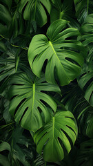 Tropical green leaves illustration