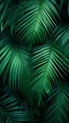 Tropical palm leaves from above illustration
