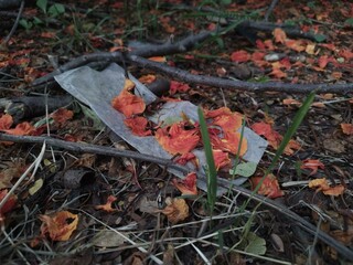 Sampah plastik di pegunungan pada musim gugur 