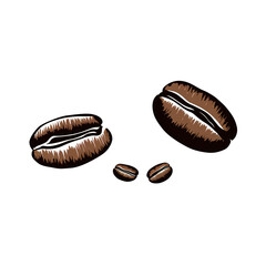 Two roasted coffee beans isolated on transparent background, clipart, sketch, logo, clipping path, png file, 