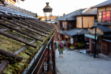 Fototapeta na wymiar roof top tiles with vines on old Japan street