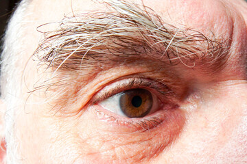 The right eye of an elderly man, brown, close-up.