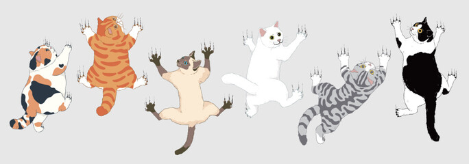Set of Cute Cartoon Cats Climbing a Wall with Their Front Paws Extended - Calico, Orange, Siamese, White, Tuxedo, and Shorthair Silver Tabby Cats. Isolated Vector Illustration. - obrazy, fototapety, plakaty