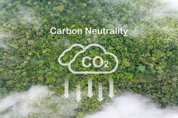 Carbon Neutrality Concept. Tropical forests can absorb large amounts of carbon dioxide from the atmosphere.