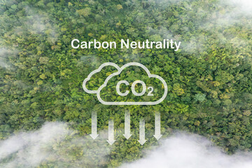 Carbon Neutrality Concept. Tropical forests can absorb large amounts of carbon dioxide from the...