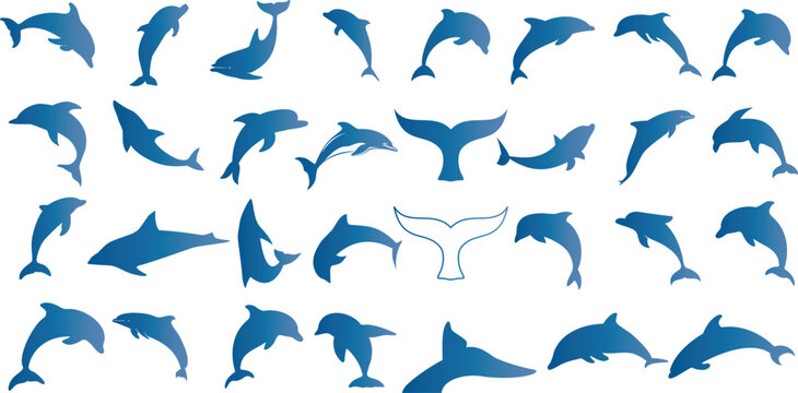Dolphin silhouette vector illustration, marine life theme. Blue dolphins on a white background, perfect for ocean-related designs.Represents aquatic mammals, sea creatures, and cetaceans