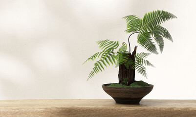 Green tropical fern tree in brown pot on wooden table counter in dappled sunlight. Luxury organic beauty, cosmetic, skincare, body care, jewelry, food, drink, fashion product display background 3D