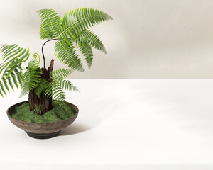 Green tropical fern tree in brown pot on white table counter in sunlight on beige wall. Luxury organic beauty, cosmetic, skincare, body care, jewelry, food, drink, product display background 3D