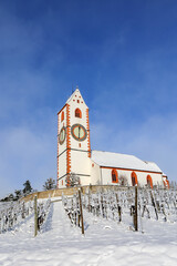 Church St. Moritz over the snow-covered vine yard in winter, Hallau, Canton Schaffhausen, Switzerland