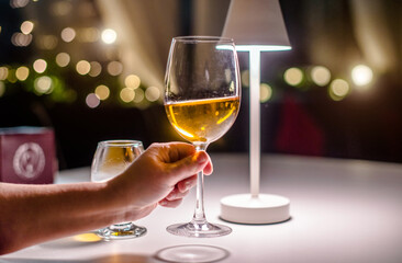 The girl holds a glass of white wine in her hand
