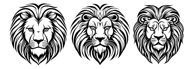 Lion black and white tattoo
