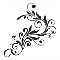 floral ornament vector with white background