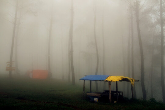 colorful wooden hut amidst mist teak forest in Puncak  Lawang, West Sumatra, Indonesia. 