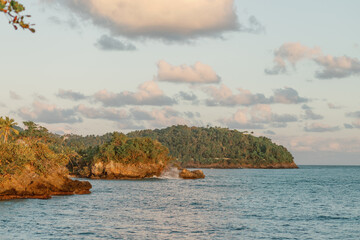 Tropical coastline with lush greenery on a serene evening