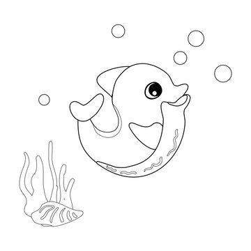 Coloring book Dolphin with shells, bubbles and algae in the ocean. For posters, prints on clothes.