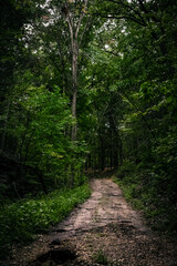A Mystical Path to the Unknown Adventure in Wisconsin