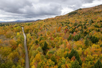 dirt road passes through colorful foliage in fall, Millinocket, Maine