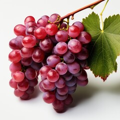 Fototapeta premium Various Grapes Half Sliced Grape Leaf, White Background, For Design And Printing