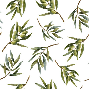 Green olive tree branches with leaves and fruits watercolor seamless pattern on white background. Hand drawn olives botanical illustration for product design, print, fabrics and wrapping