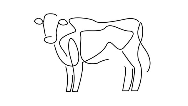Cow single continue line drawing animation