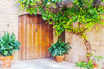 Old door with plants