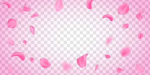 Pink sakura falling petals vector background. Flying rose illustration. Love card template