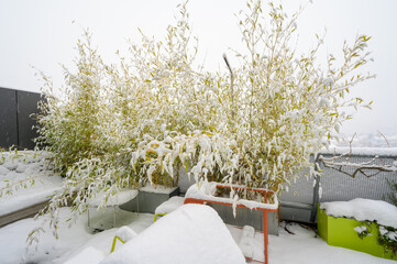 Snow-covered all-season furniture on a roof terrace