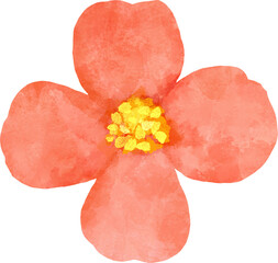 Watercolor Flower Painting